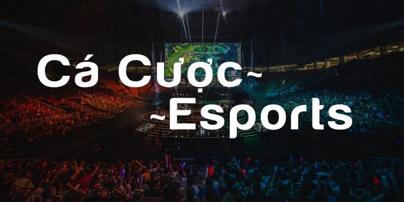 Hướng dẫn tham gia cá cược Esports Fbsport